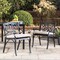 Set of 2 Cast Aluminium Dining Chairs with Cushions, Olefin Fabric